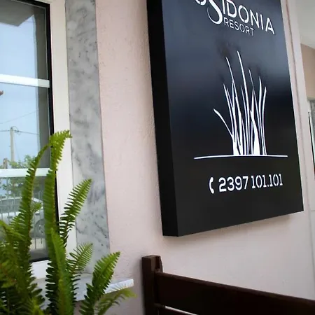 Posidonia No1 Vrasná